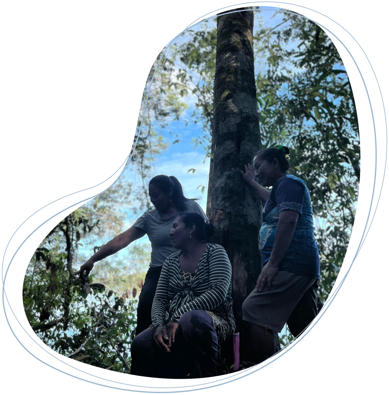 Imagem hero