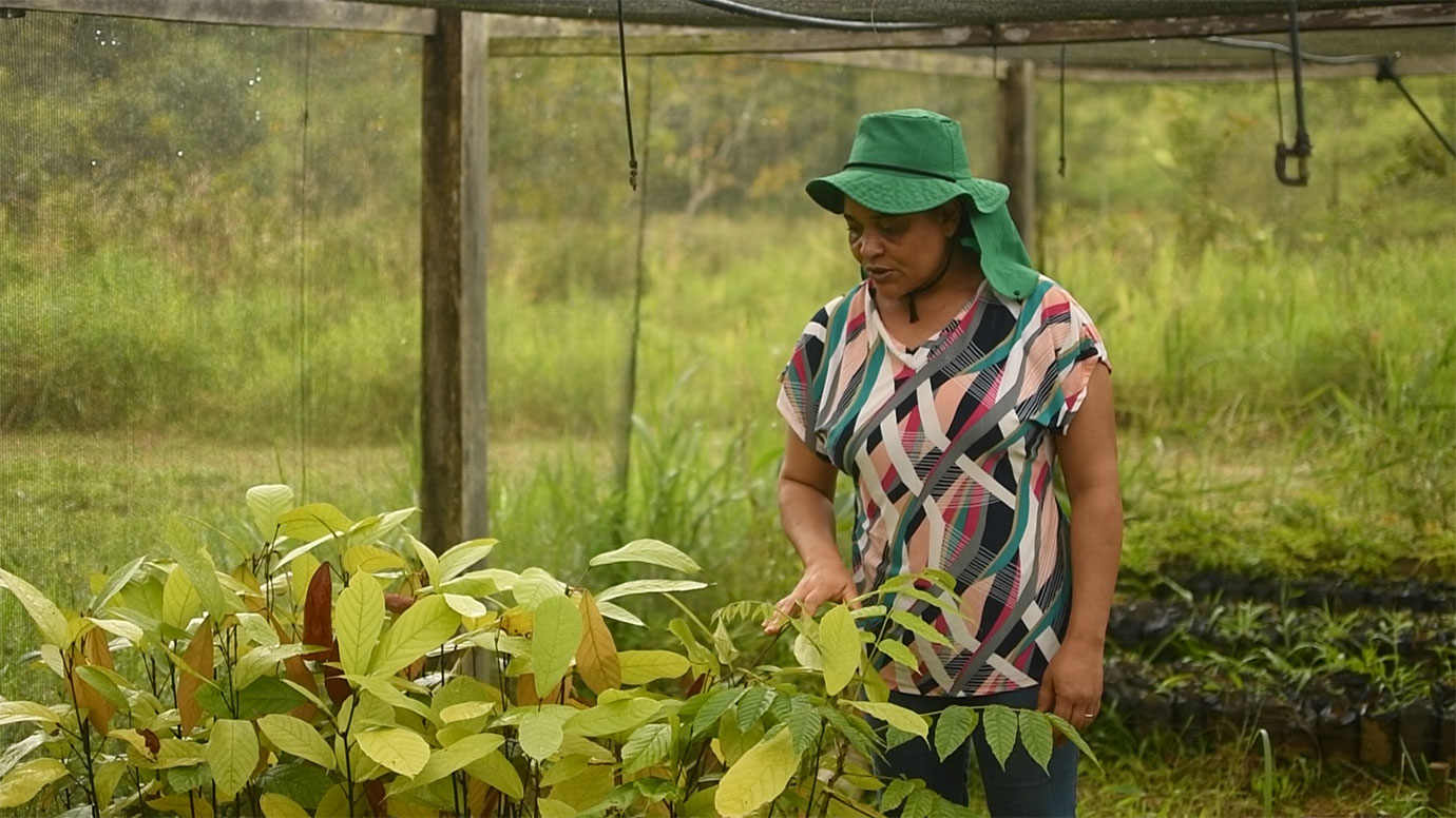 mulher e plantas dentro do viveiro